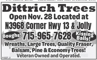 starnews_20251127_tsn-2025-11-27-a-003_art_3.xml