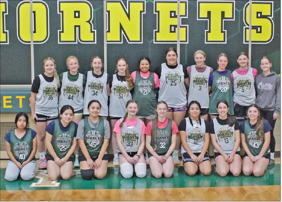 Hornets aim to build off of strong second half