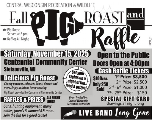 recordreview_20251112_trr-2025-11-12-b-004_art_2.xml