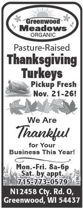 recordgleaner_20251119_trg-2025-11-19-0-004_art_5.xml