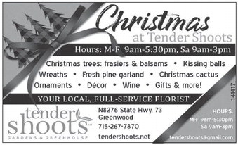 recordgleaner_20251119_trg-2025-11-19-0-006_art_3.xml