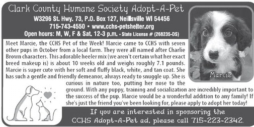 recordgleaner_20251112_trg-2025-11-12-a-006_art_1.xml