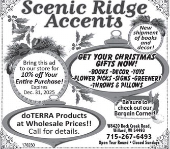 recordgleaner_20251126_trg-2025-11-26-0-003_art_1.xml