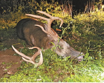 Luck goes Seliger’s way during early-season Marathon County bow hunt