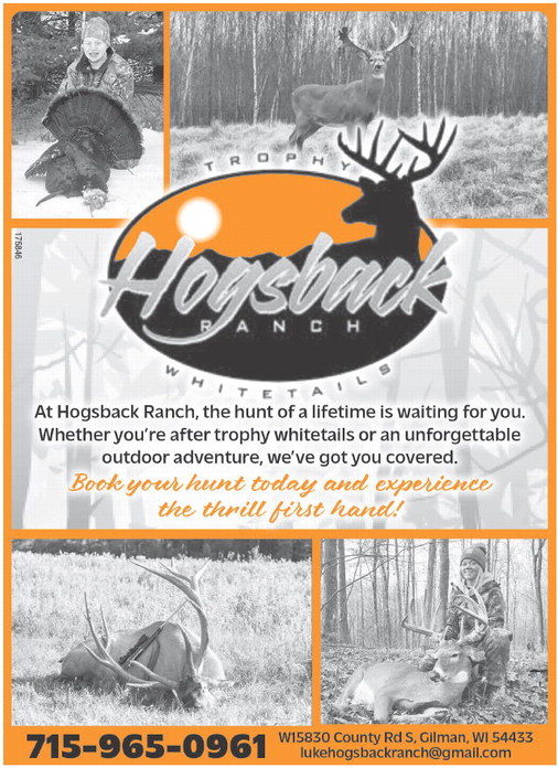 starnews_20251113_tsn-2025-11-13-c-011_art_2.xml