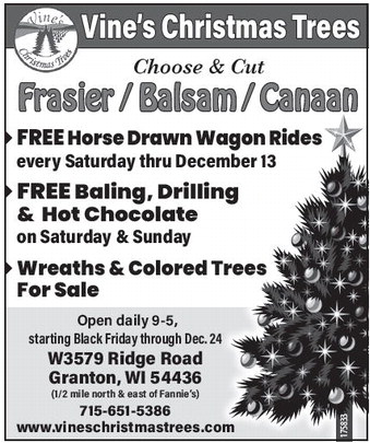 recordgleaner_20251126_trg-2025-11-26-0-009_art_2.xml