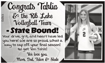 starnews_20251106_tsn-2025-11-06-b-008_art_2.xml