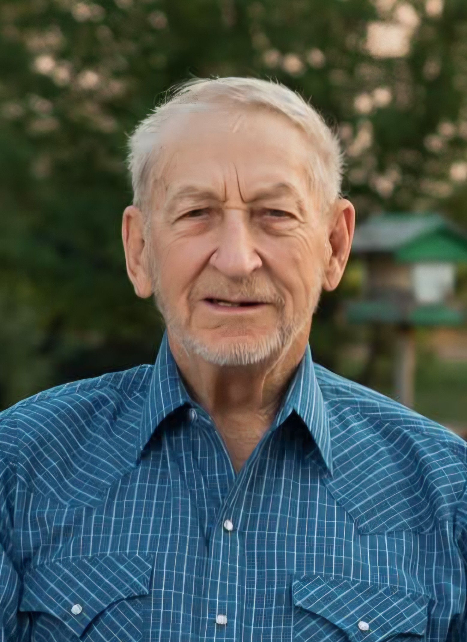 Alvin Melvin Kloth Alvin Melvin Kloth