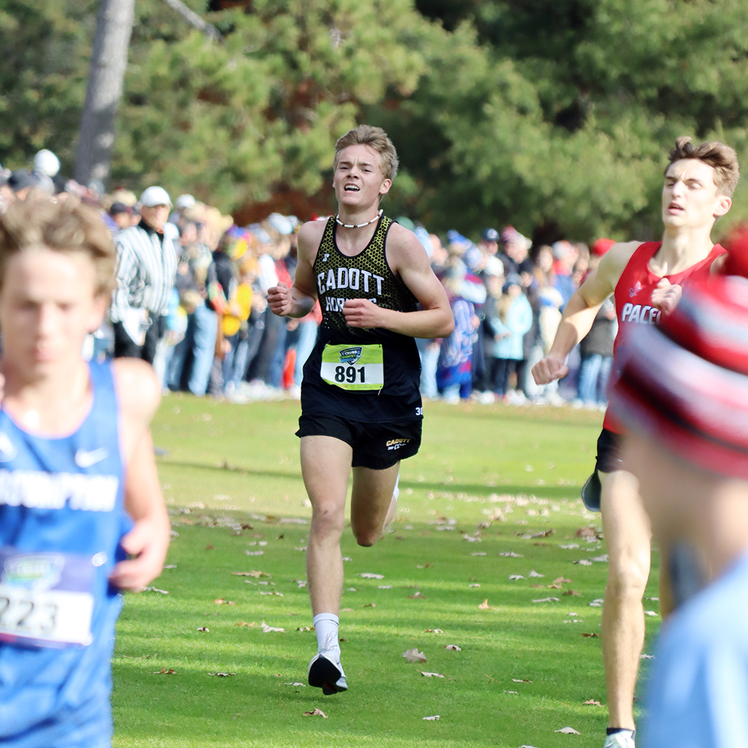 Hornets break State record, Steinke earns podium spot