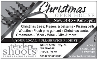 recordgleaner_20251105_trg-2025-11-05-0-006_art_2.xml