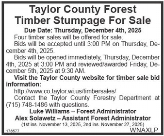 starnews_20251127_tsn-2025-11-27-a-012_art_4.xml