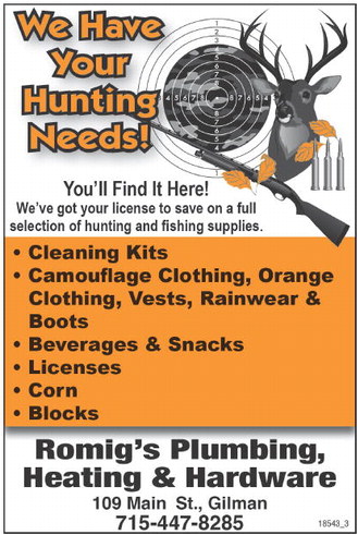 recordgleaner_20251112_trg-2025-11-12-b-002_art_1.xml