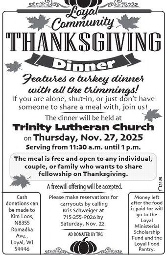 recordgleaner_20251119_trg-2025-11-19-0-003_art_3.xml