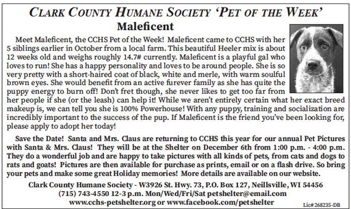 tribunephonograph_20251119_ttp-2025-11-19-0-014_art_6.xml