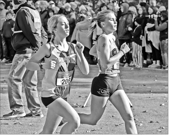 Schmitt caps season with fourth state trip