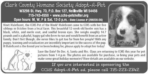 recordgleaner_20251119_trg-2025-11-19-0-009_art_5.xml