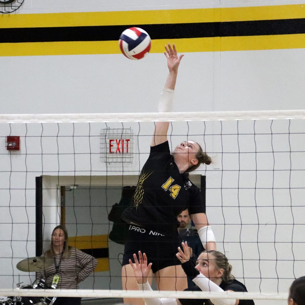 Mathison finishes career  as Co-Player of the Year