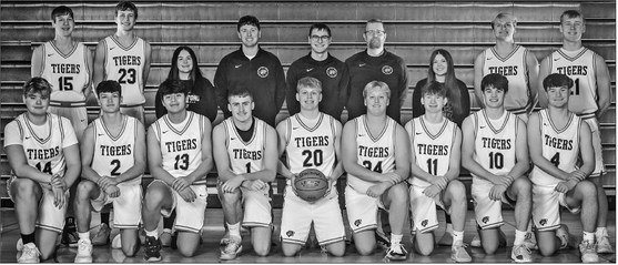 Tigers have new coach at the helm