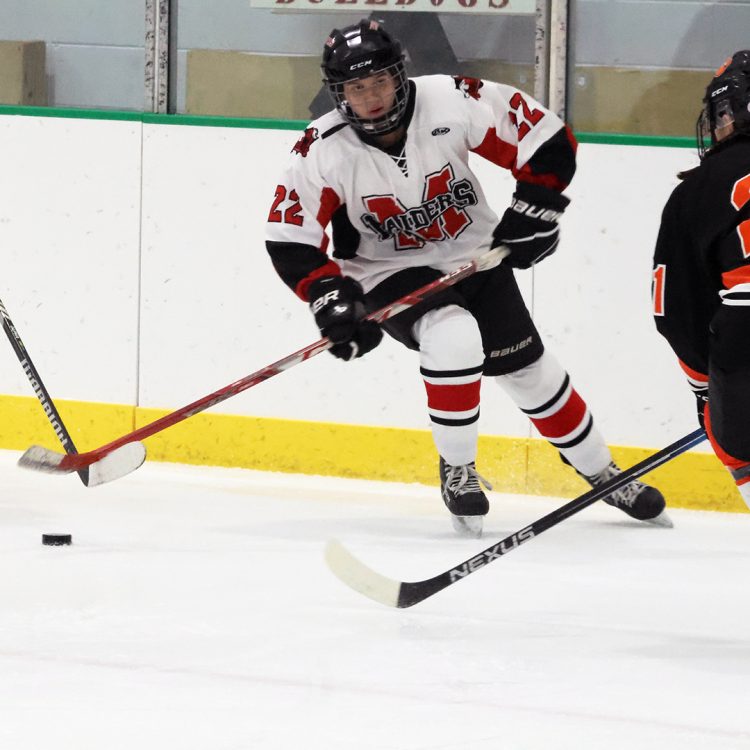 Tigers take down Raiders with ease in girls hockey opener