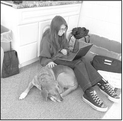 4-legged comfort: Therapy dog helps students feel supported