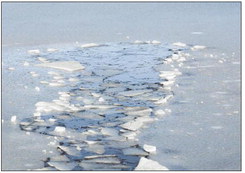 Use your head and stay off the ice until it’s thicker