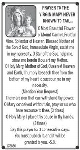 starnews_20251218_tsn-2025-12-18-a-016_w-ocr_art_7.xml