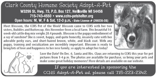 recordgleaner_20251203_trg-2025-12-03-0-010_art_3.xml