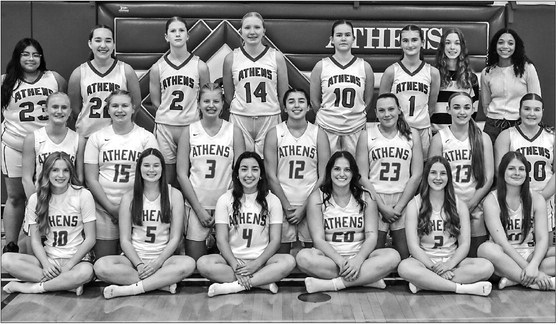 Bluejays are much improved