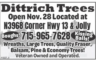 starnews_20251204_tsn-2025-12-04-a-011_art_2.xml