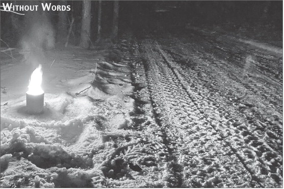 Which Grinch stole Christmas the best?