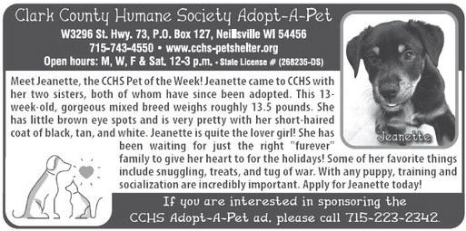 recordgleaner_20251217_trg-2025-12-17-a-017_art_1.xml