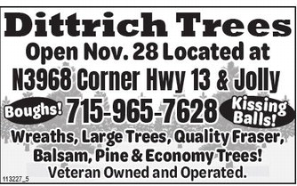 starnews_20251211_tsn-2025-12-11-a-003_art_5.xml