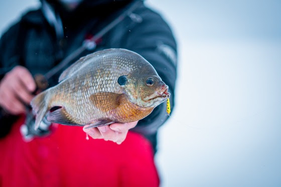 Winter Free Fishing Weekend is Jan. 17-18