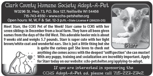 recordgleaner_20260121_trg-2026-01-21-a-007_art_5.xml