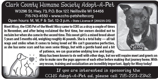 recordgleaner_20260114_trg-2026-01-14-0-008_art_1.xml