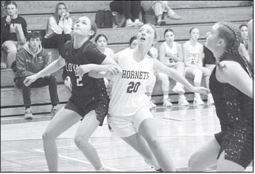 Snowmobile riders: stay on marked trails, off closed trails