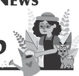 The best laid plants