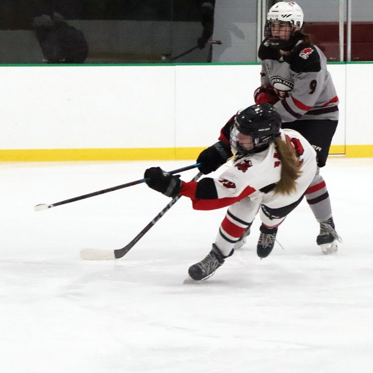 Girls hockey team keeps battling against the bigger city co-ops