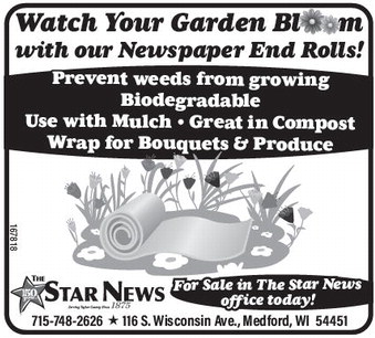 starnews_20260129_tsn-2026-01-29-b-017_art_4.xml