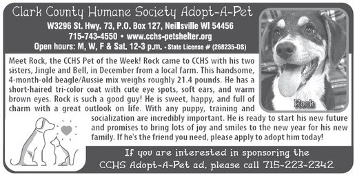 recordgleaner_20260107_trg-2026-01-07-0-006_art_4.xml