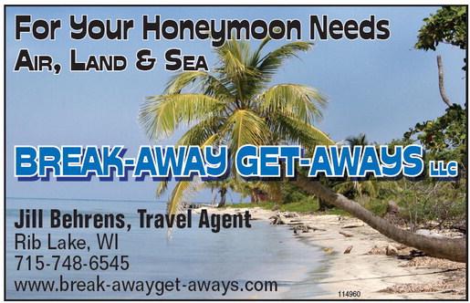 recordreview_20260121_trr-2026-01-21-b-004_art_5.xml