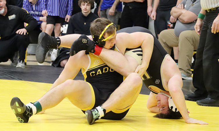 Momentum is building for Hornets, as work pays off