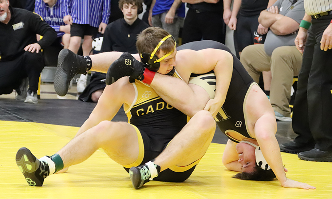 Momentum is building for Hornets, as work pays off