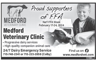 starnews_20260219_tsn-2026-02-19-c-002_art_3.xml