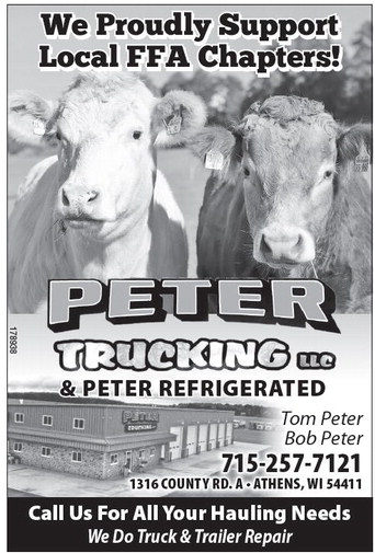 recordreview_20260218_trr-2026-02-18-b-006_art_2.xml