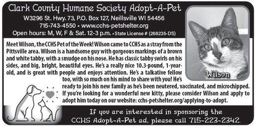 recordgleaner_20260218_trg-2026-02-18-a-008_art_5.xml