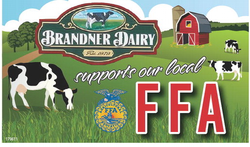 starnews_20260219_tsn-2026-02-19-c-009_w-opt_art_2.xml