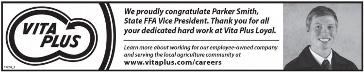 starnews_20260219_tsn-2026-02-19-c-008_w-opt_art_4.xml