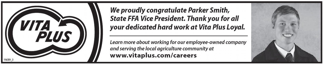 starnews_20260219_tsn-2026-02-19-c-008_w-opt_art_4.xml