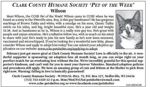 tribunephonograph_20260218_ttp-2026-02-18-0-012_art_7.xml